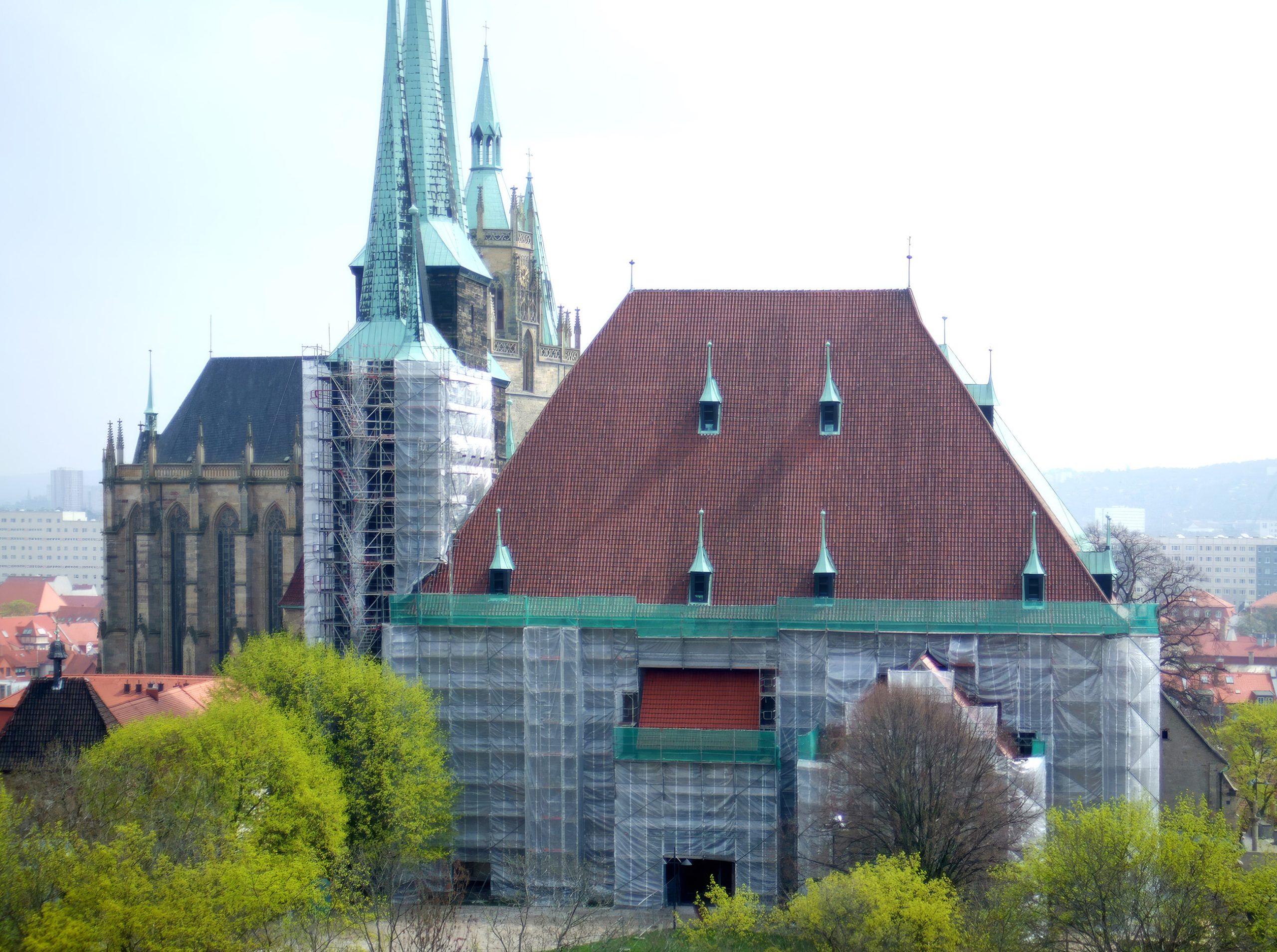Nordansicht St. Severi, Erfurt, Eingerüstet
